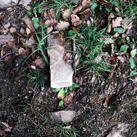 Compact Mini ITX Case